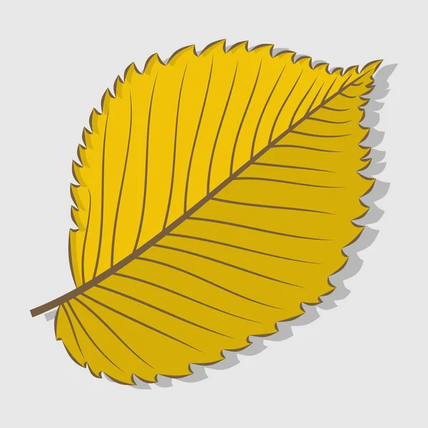 Ulme Herbstblatt. flacher Designvektor — Stockvektor