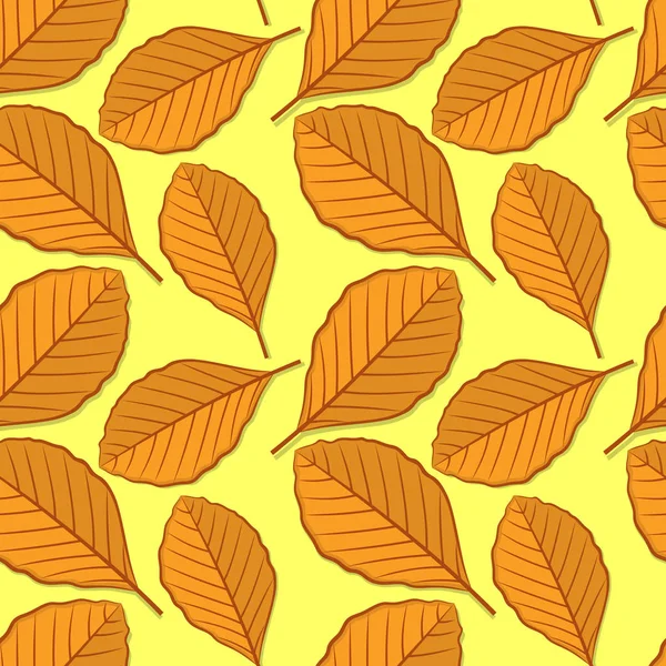 Motif sans couture avec feuilles d'automne en hêtre . — Image vectorielle