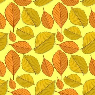 Karaağaç ve kayın sonbahar yaprakları ile Seamless modeli. Vektör çizim.