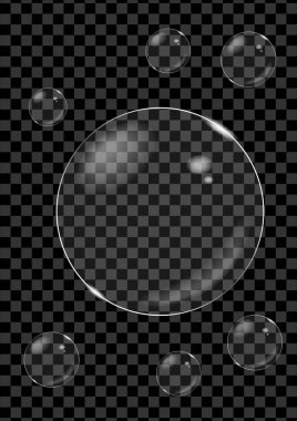 Gerçekçi şeffaf sabun köpüğü. Vektör çizim .