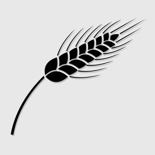 Weizenohren-Symbol isoliert auf weißem Hintergrund. Vektorillustration — Stockvektor