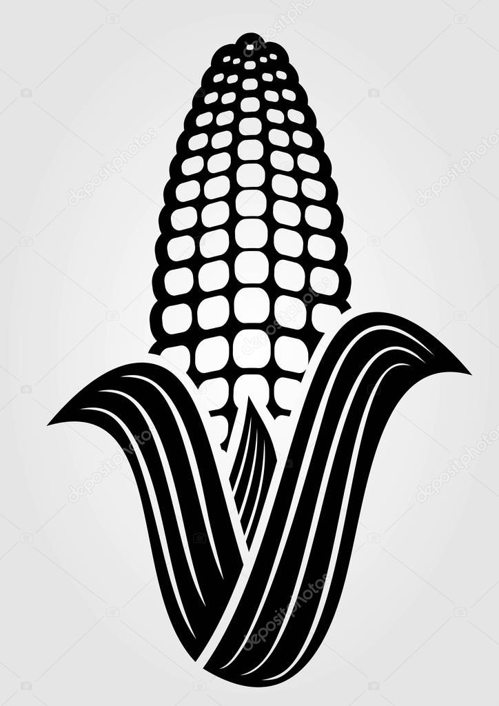 Corn icon isolated on white background. 