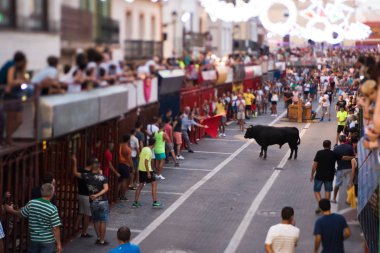 İspanya Denia 17 Ağustos 2016 boğa ve insanlar çalıştırmak dışında yerel tatillerinde.