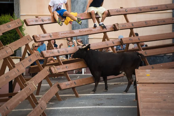 Denia Hiszpania Sierpnia 2016 Byków Ludzi Uruchomić Poza Lokalnych Świąt — Zdjęcie stockowe