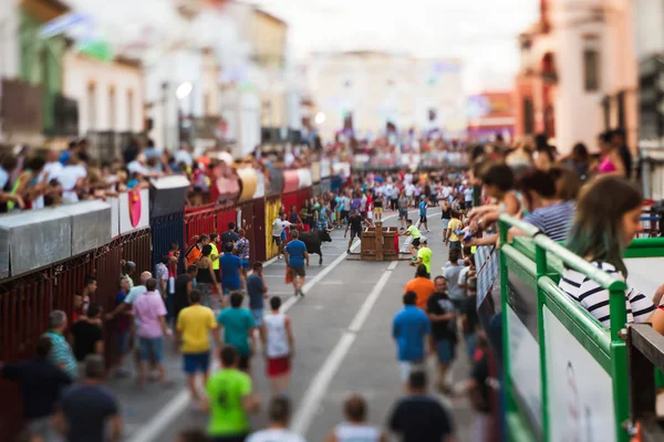 Spanien Denia Den Augusti 2016 Tjurar Och Folk Kör Utanför — Stockfoto