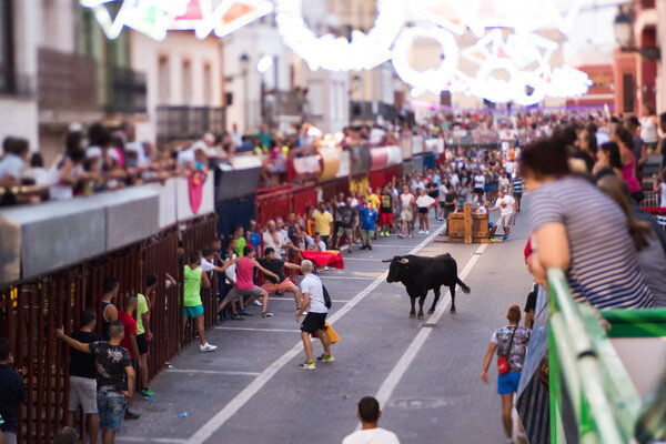 Spain Denia the 17th of August 2016 Bulls and people run outside during local holidays.