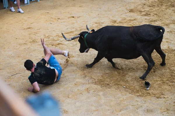 Espanha Denia Julho 2016 Touros Pessoas Correndo Arena Durante Férias — Fotografia de Stock