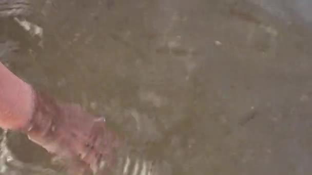 女性手从水中取出金币 — 图库视频影像