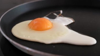 Bir yumurta bir tavada kızarmış Close-up