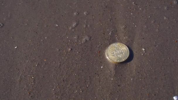 Vue de Bitcoin d'or dans la vague d'eau sur le sable — Video