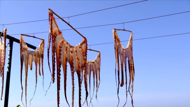 Denia, Spanien - 8. Juli 2018: Tintenfisch trocknet an der Sonne — Stockvideo
