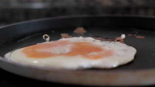 Крупним планом перекидання одного яйця на сковороду — стокове відео