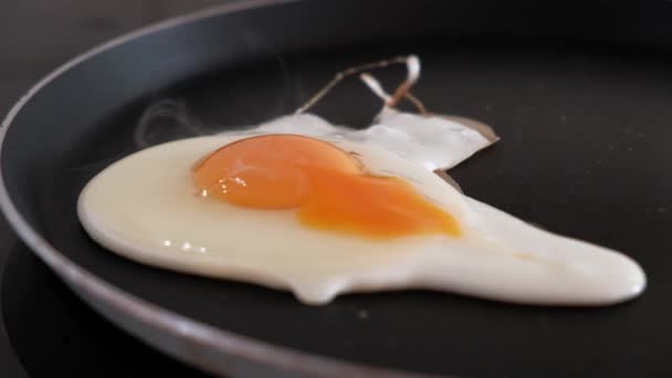 Close-up of one egg being fried on a frying pan — Stock Video