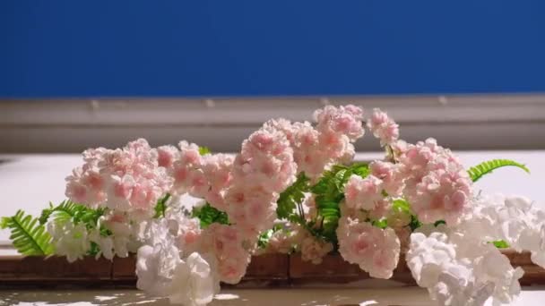 Undersidan Vackra Mjuka Rosa Färgade Blommor Utanför Hus Fönster Med — Stockvideo