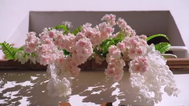 Vackra Mjuka Rosa Färgade Blommor Utanför Hus Fönster Växter Som — Stockvideo