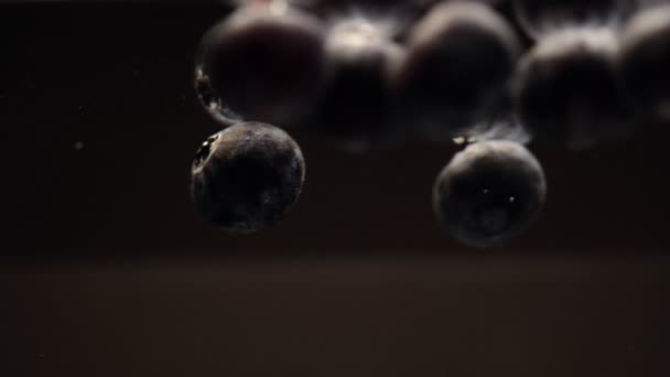 Slow Motion Many Blueberries Floating Water Black Background Fresh Berries — Stock Video