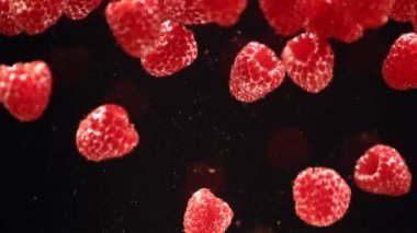 Siyah arka plana karşı suda yüzen ahududu yavaş hareket. Bir kapta batan taze meyveler.