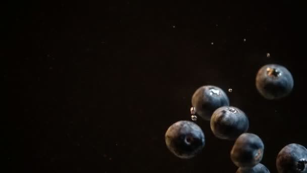Медленное Движение Голубики Падающей Воду Черном Фоне Свежие Ягоды Тонут — стоковое видео