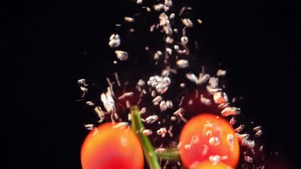 樱桃番茄的缓慢运动落入水中 在黑色背景上有气泡 在黑色表面上分离的新鲜樱桃番茄 — 图库视频影像