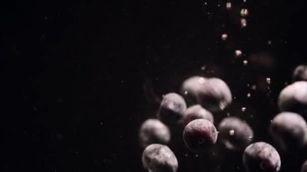 Blueberries Falling Water Black Background Fresh Berries Sinking Vessel Copy — Stock Video