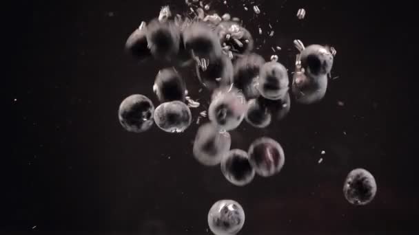 Черника Падает Воду Пузырьками Черном Фоне Свежие Ягоды Тонут Сосуде — стоковое видео