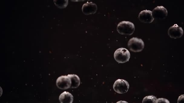 Slow Motion Van Blauwe Bessen Drijvend Water Tegen Zwarte Achtergrond — Stockvideo