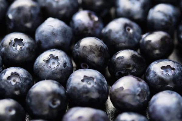 Close-up van rijpe en sappige verse geplukt bosbessen. — Stockfoto