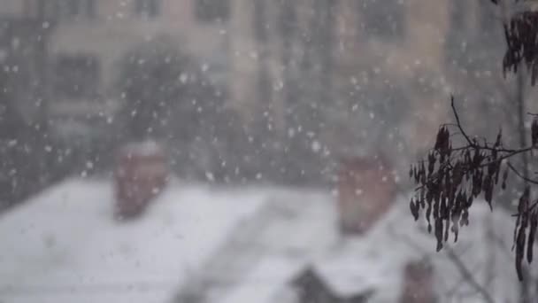 Falling snowflakes heavy snowfall on the background of houses roofs — Stock Video