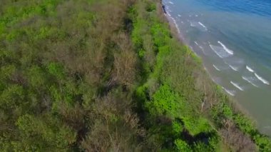 Deniz ve orman arka plan arasındaki kıyı şeridi ayıran yatay