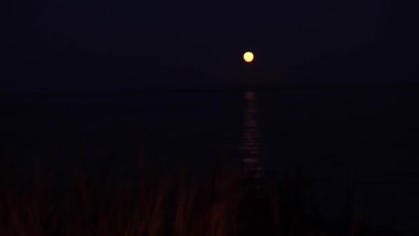 Paisagem de uma faísca de um fogo ardente contra o fundo do mar e uma lua que reflete na água — Vídeo de Stock