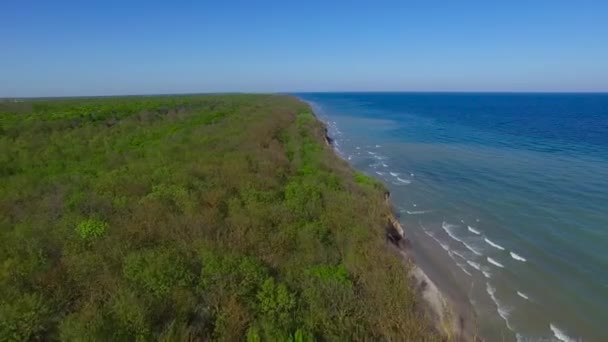 Природний мальовничий пейзаж, що відокремлює берегову лінію між морем і лісовим фоном — стокове відео