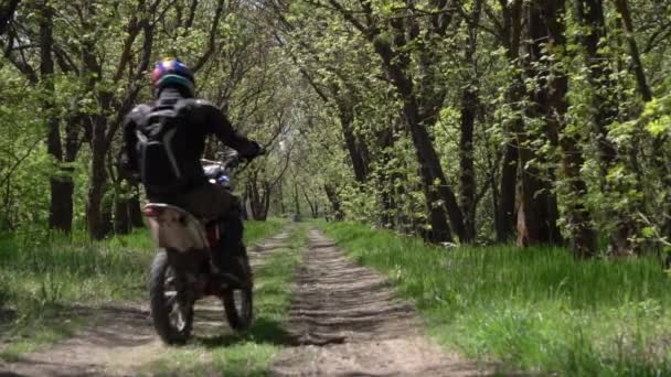 Odessa, Oekraïne - April, 2018: Fietser op een motorfiets van de sport in een helm drijft die in het forest en stopt — Stockvideo