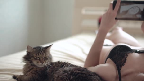 Joven hermosa mujer en lencería negra haciendo foto selfie en una tableta acostada en una cama cerca del gato — Vídeo de stock