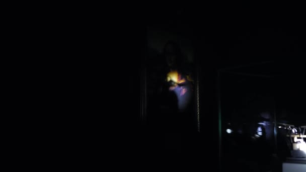 L'opera di Monna Lisa di Leonardo Da Vinci si illumina con una torcia elettrica e mostra la silhouette della macchina a mosca — Video Stock