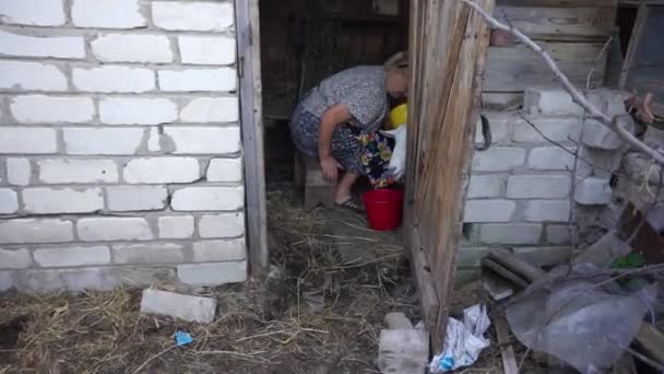 Rijpe vrouw gonna een geit te melken schoon een uier voordat verzamelt melk van een geit — Stockvideo