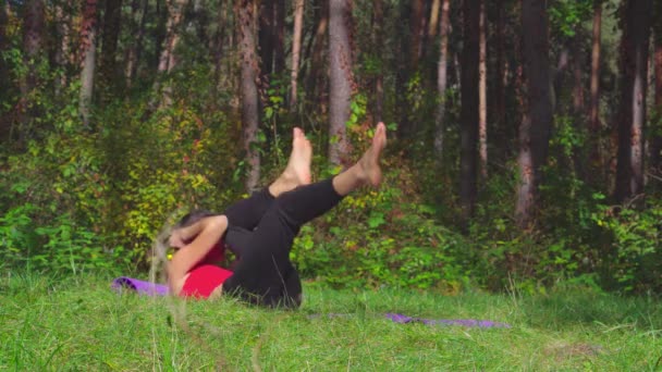 Jeune femme brune faisant des exercices sportifs dans un parc ensoleillé — Video