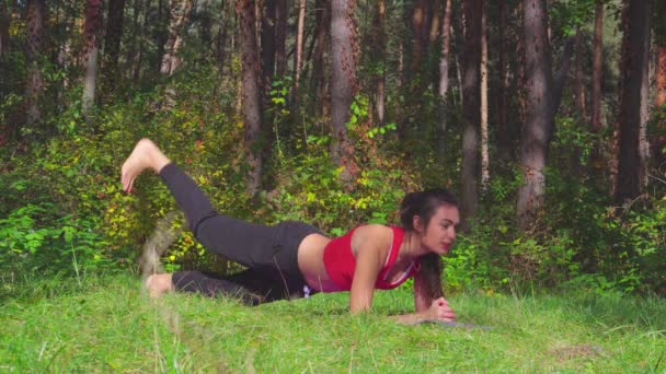 Μελαχρινή νεαρή γυναίκα, κάνοντας ασκήσεις αθλητισμό σε ηλιόλουστες δάσος αρμονία μέσα και υγιεινό τρόπο ζωής — Αρχείο Βίντεο