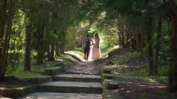 自然の木のトンネルの間は公園を歩いて豪華な結婚式のカップル — ストック動画