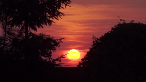 Hermosa puesta de sol naranja entre los árboles y la colina — Vídeo de stock