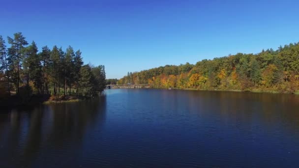 Вид з повітря, що летить над прекрасною осінньою річкою з мостом і лісом — стокове відео