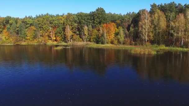 Průtok vody příroda mezi zelenými stromy úchvatné barvy vinutí riverline — Stock video