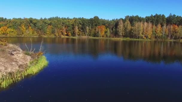 Природа течії води між зеленими деревами захоплюючі кольори звивистої річкової лінії — стокове відео