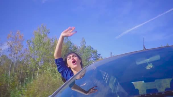 Joven morena alegre mujer inclinada por la ventana del coche y gritando felizmente mientras conduce a través del bosque en cámara lenta — Vídeo de stock