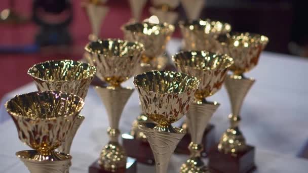 Awards plenty of championship cup golden trophy for winners — Stock Video