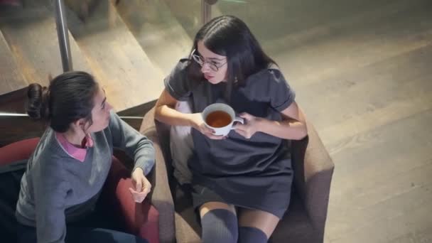 Две юные брюнетки разговаривают и пьют чай, сидя на стульях — стоковое видео