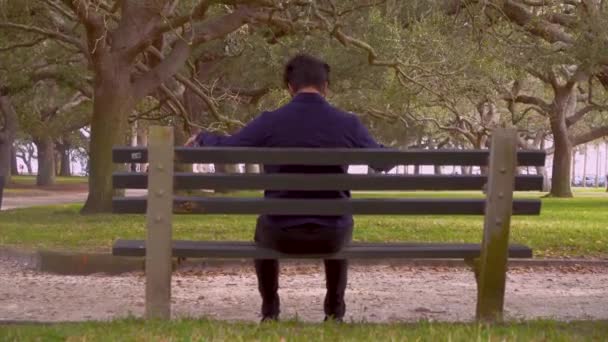 ビューを戻るピアノで再生彼をふり公共の公園でベンチに座っている男 — ストック動画