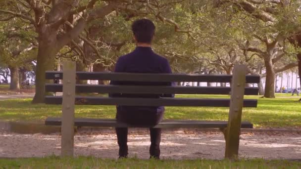 Man zit op de Bank in een openbaar park terug weergave — Stockvideo