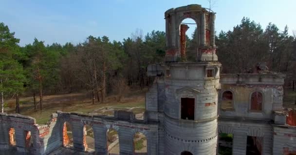 Castelo medieval vista aérea Zamok Tereshchenkiv perto da floresta — Vídeo de Stock