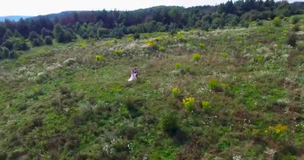 Novia y novio besándose feliz joven matrimonio pareja en la naturaleza vista aérea — Vídeo de stock