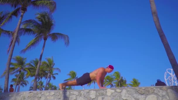 Jonge gespierde man doet push-ups tussen palmbomen — Stockvideo